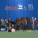 CITYBOY OR COWBOY - Out of Hot Anticipation